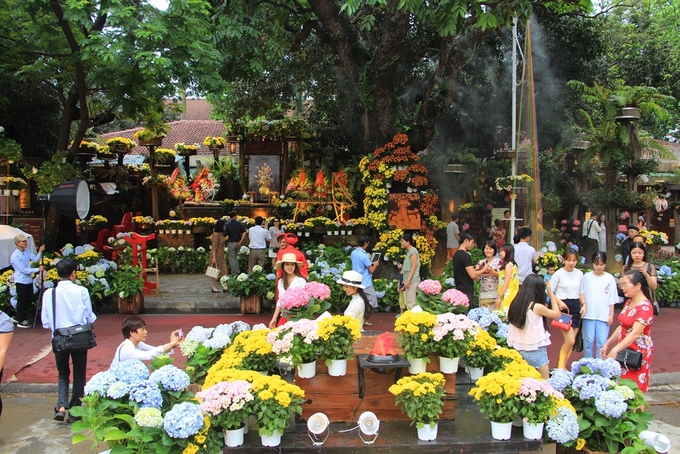 Một vườn hoa cẩm tú cầu được Bảo tàng thêu XQ tạo nên ở cuối đường Phạm Hồng Thái, trung tâm Thành phố Huế đã thu hút sự chú ý của người dân và du khách đến tham quan Huế nhân dịp Festival lần thứ X.