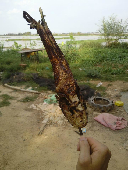 Cá lóc nướng trui cháy xém có mùi thơm phức tỏa ra từ thịt cá, rất thích hợp để lai rai vào buổi chiều mát. Ảnh: Phạm Trung