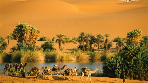 Ngày nay, giữa sa mạc Sahara vẫn còn các ốc đảo nhỏ. Ảnh: Spiegel.de.
