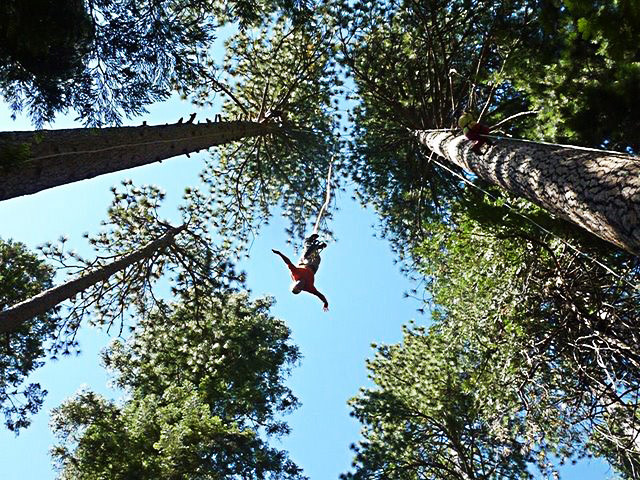 Rừng cây Gỗ đỏ Humboldt, California: Một cơ hội nhảy bungee độc đáo khác ở California. Trước tiên bạn sẽ phải leo lên những cây gỗ đỏ khổng lồ và sau đó rơi xuống rừng xanh với khoảng cách 46 m. Không hẳn là quá đáng sợ nhưng nó sẽ là sự kết hợp thú vị giữa việc khám phá thiên nhiên và phiêu lưu mạo hiểm.