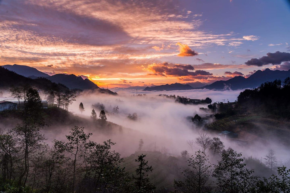 Sa Pa: Sapa là một thiên đường nằm giữa mây và núi rừng của Việt Nam. Hình ảnh sắc màu của các cánh đồng lúa chín và đồi chè xanh như trong tranh sẽ khiến bạn bị thu hút ngay lập tức. Hãy xem hình ảnh liên quan để mong chờ trải nghiệm tuyệt vời này.