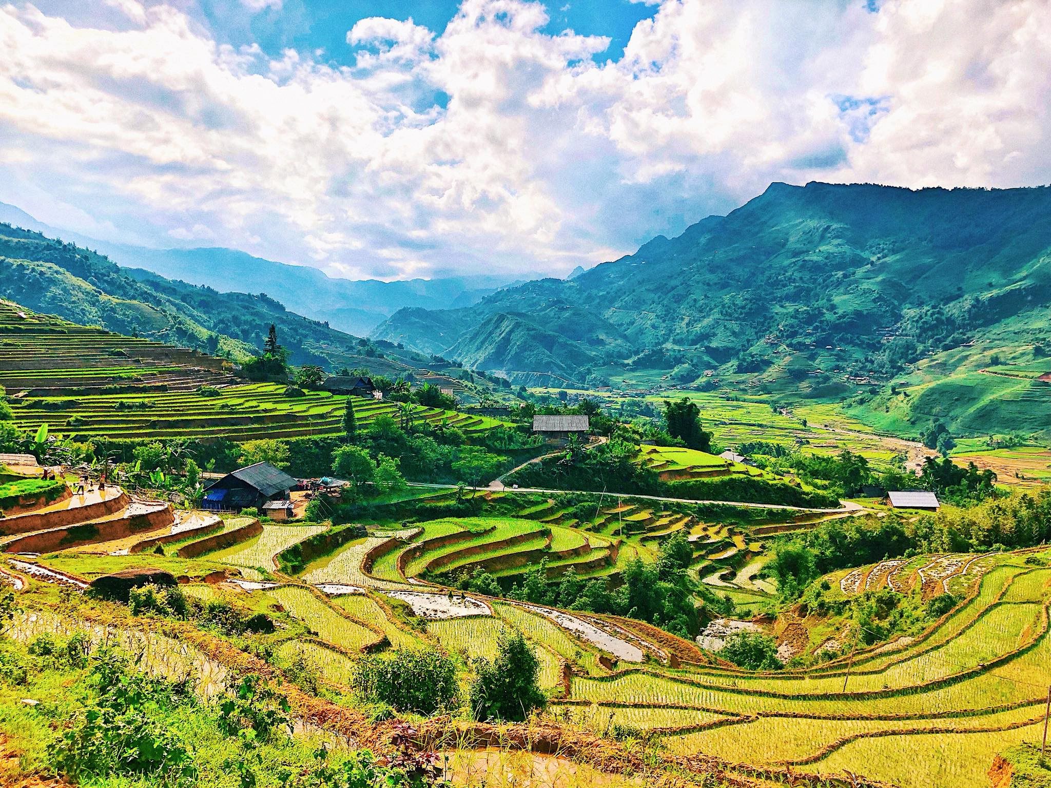 Sa Pa là một điểm đến du lịch nổi tiếng ở Việt Nam. Với khung cảnh đẹp mê hồn, núi rừng bạt ngàn, Sa Pa thu hút hàng nghìn du khách đến thăm mỗi năm. Hãy xem hình ảnh của Sa Pa để biết thêm về vùng đất này.
