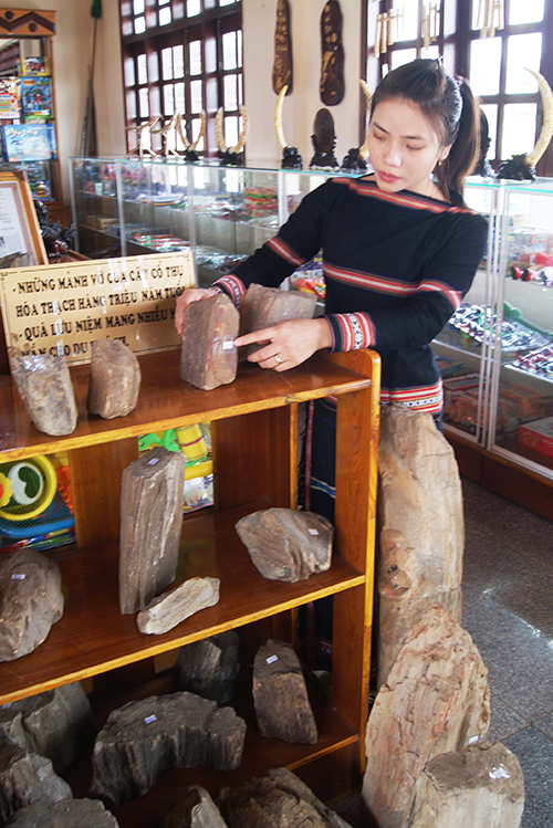 Loại đá đặc biệt này được trưng bày ở nhiều địa điểm du lịch, văn hóa để du khách có cơ hội chiêm ngưỡng và mua về làm đồ kỷ niệm. Gỗ hóa thạch có giá từ vài trăm nghìn đến hàng chục triệu đồng.