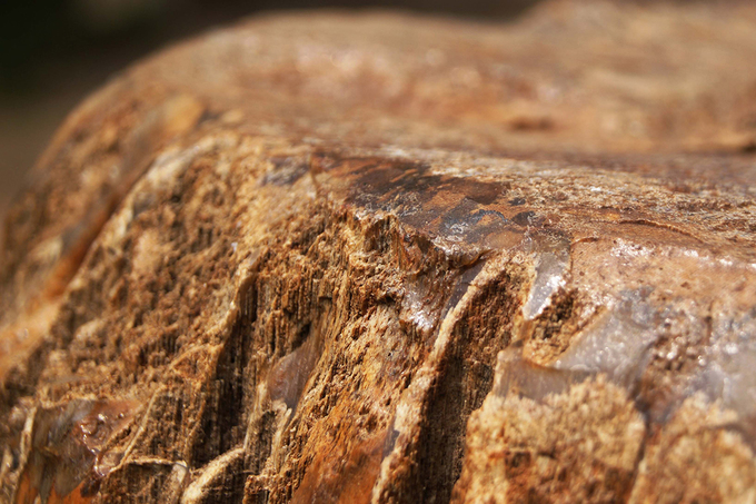 Nhiều người còn quan niệm gỗ hóa thạch mang đến may mắn bình an, sức khỏe và trường thọ cho người sử dụng.