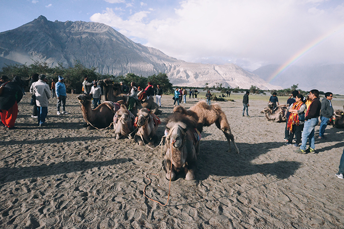 Để đến Ladakh, bạn có thể đi đường bộ hoặc đường hàng không từ thủ đô Dehli. Bạn có thể bay tới Leh bằng các hãng Air India, Jet Airways và Go. Còn nếu đi bằng ôtô, bạn sẽ phải trải qua quãng đường hiểm trở, mất thời gian, có thể phủ tuyết vào mùa đông nhưng bù lại, có thể cảm nhận thẳng cảnh tuyệt vời dọc đường đi. Để tới được Ladakh, bạn cần một số loại giấy thông hành. Bạn có thể liên hệ một số agency để được hỗ trợ giấy phép trước khi khởi hành. Một số địa chỉ được nhiều du khách đề xuất là info@mountainpassage.asia hay st.chosdan@gmail.com.