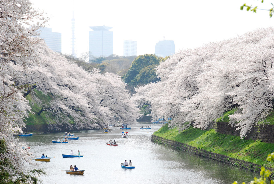 Tham quan những điểm đến miễn phí: Nhiều điểm đến của Tokyo được miễn phí hoặc có vé vào cửa khá rẻ. Tại quận Ueno có một công viên với vẻ đẹp như tranh vẽ, đồng thời lại mở cửa miễn phí. Ngoài ra những bảo tàng quốc gia có vé vào cửa chỉ dưới 200.000 đồng.