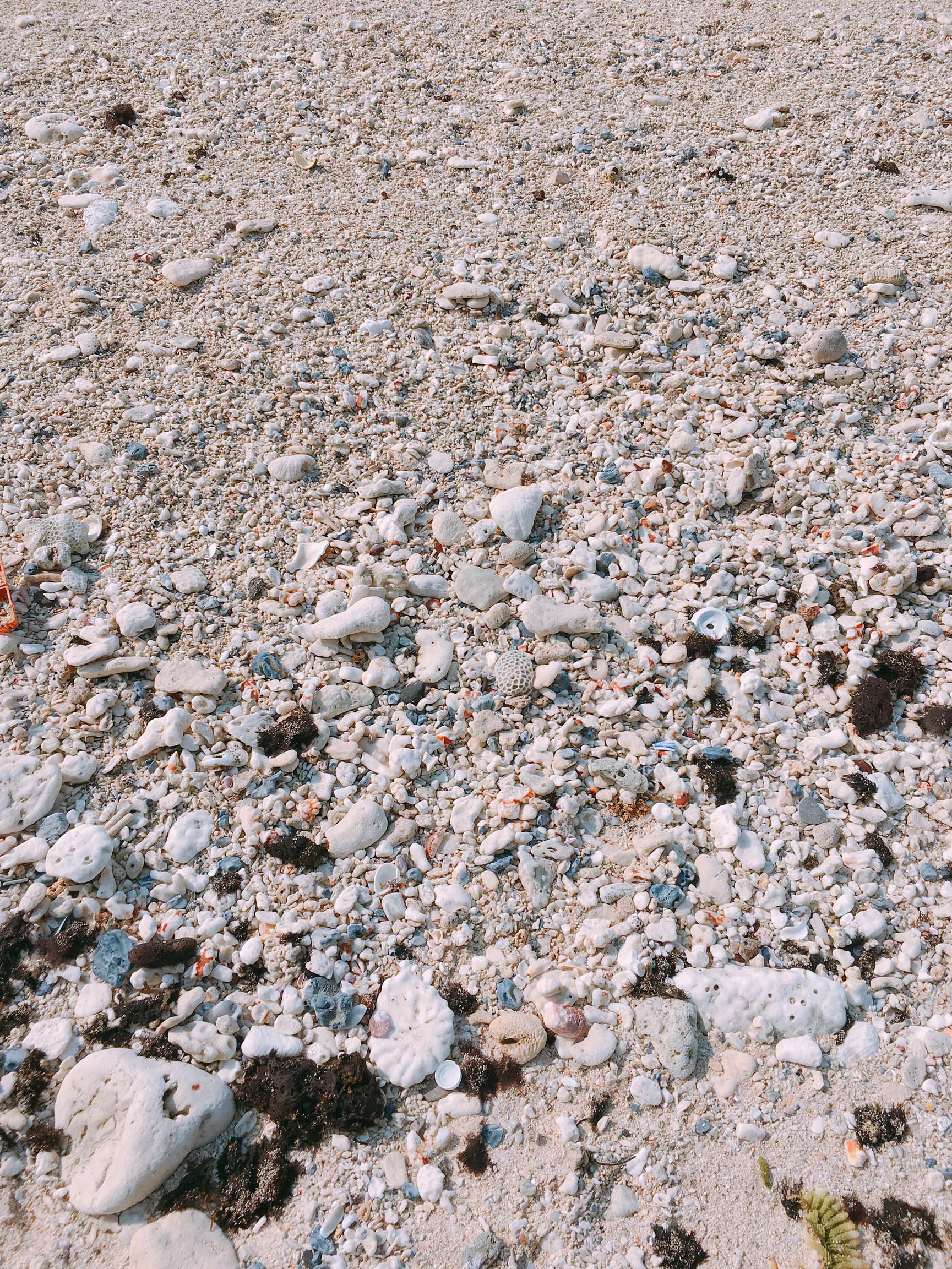 Bãi biển có rất nhiều đá cuội với hình thù kỳ lạ rất đẹp