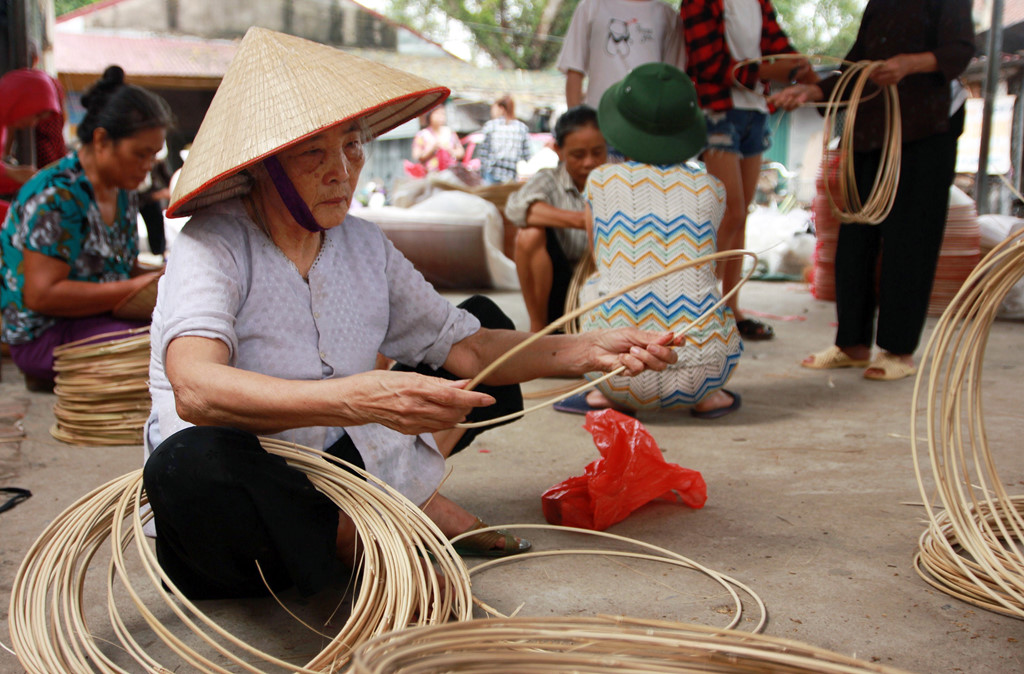 Nón làng Chuông trông đơn giản nhưng đòi hỏi sự tỉ mỉ và kỳ công từ khâu chọn nguyên liệu. Một trong số đó là cạp nón với yêu cầu vừa dẻo dai lại rắn chắc.