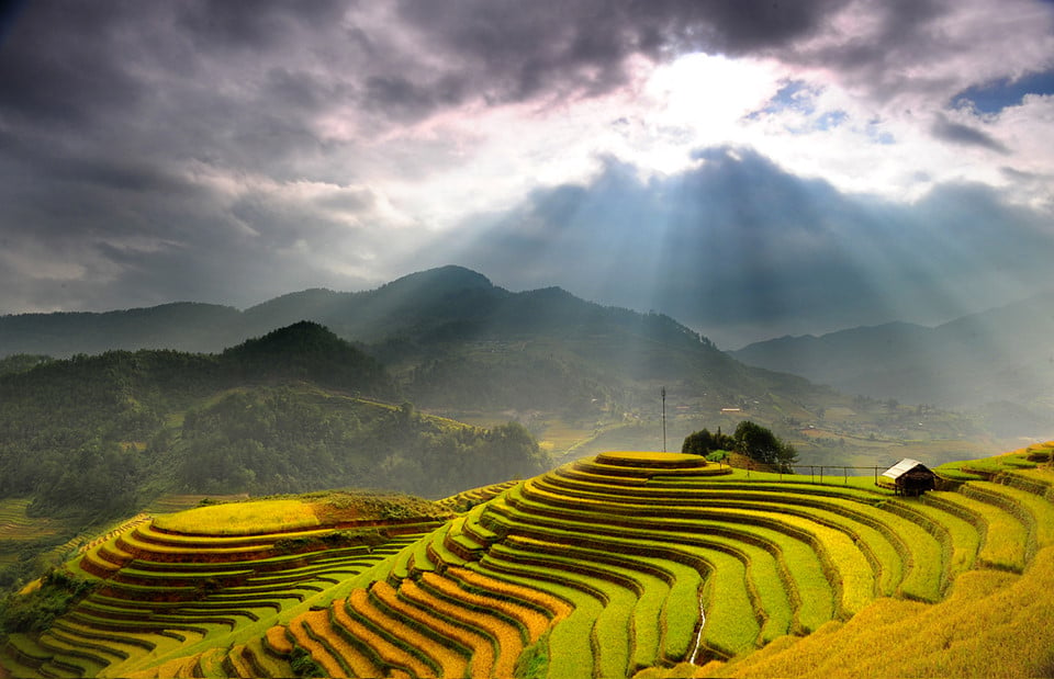 Ngoài cảnh sắc thiên nhiên trời ban, Hoàng Su Phì còn có rất nhiều những lễ hội vùng cao độc đáo như lễ hội Khu cù tê của dân tộc La Chí, Cấp sắc, nhảy lửa, cầu mùa của dân tộc Dao đỏ, Lồng Tồng của dân tộc Tày, cúng rừng của dân tộc Nùng... Ảnh: Vietravel.