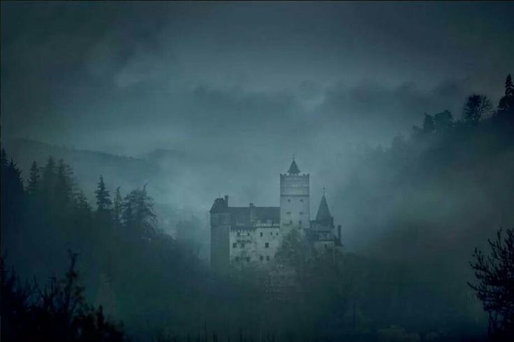 Hàng năm, hơn 600.000 du khách đổ về lâu đài Bran gần Brasov ở Transylvania, Romania, với hy vọng gặp nhân vật chính trong cuốn tiểu thuyết lừng danh Bá tước Dracula của Bram Stoker. Ảnh: Lonely Planet.