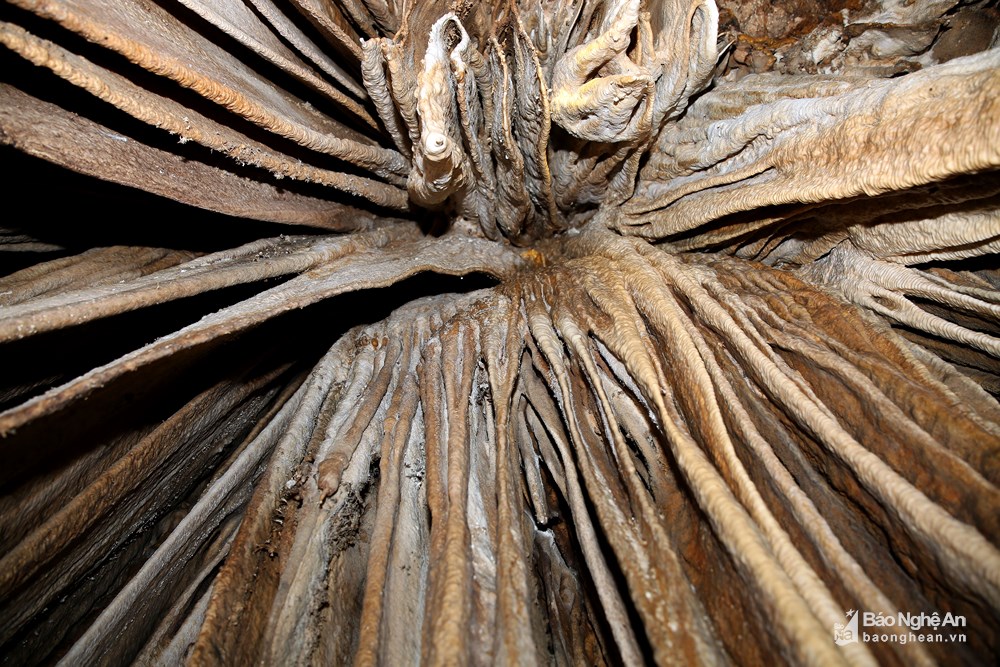 Hệ thống thạch nhũ được kết tụ qua hàng nghìn năm tạo nên những những "dòng suối" chảy vô tận trong hang Thung Bừng. Ảnh: Phương Kiên