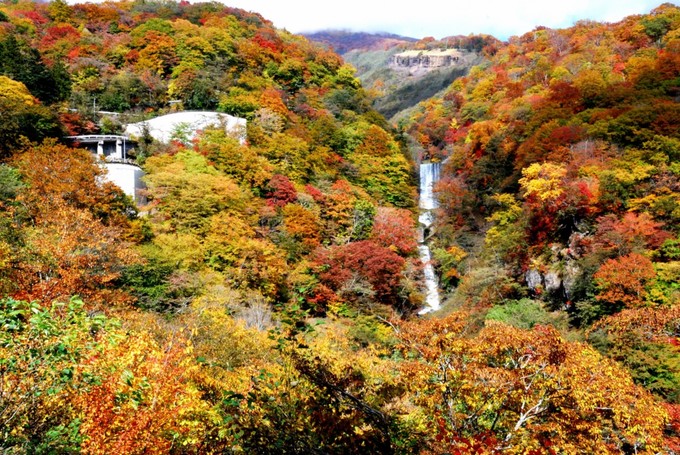 Nikko, Tochigi  Nikko là một trong các điểm đến lịch sử nổi tiếng nhất Nhật Bản và đón khách du lịch tới thăm quanh năm. Tuy nhiên, mùa thu ở Nikko vẫn là thời điểm đặc sắc nhất. Những thảm lá vàng, đỏ tới dịp tháng 10 sẽ bắt đầu bao trùm khắp nơi từ hồ Chuzenji tới dốc Irohazaka…  Thời gian đẹp nhất là nửa cuối tháng 10.