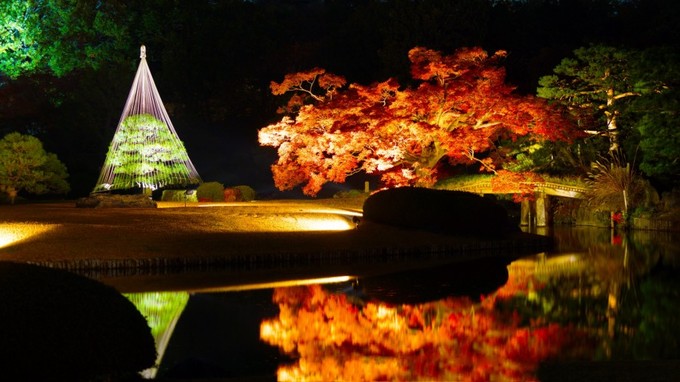 Vườn Rikugien, Tokyo  Rikugien vốn là một khu vườn có tiếng ở Tokyo và nơi này rực rỡ hơn cả khi vào mùa lá đỏ. Đêm xuống, khu vườn vẫn mở cửa và thắp sáng thêm đèn nên du khách không tới được ban ngày sẽ có thêm thời gian tận hưởng không gian của mùa thu.  Thời gian đẹp nhất là cuối tháng 11 đầu tháng 12.