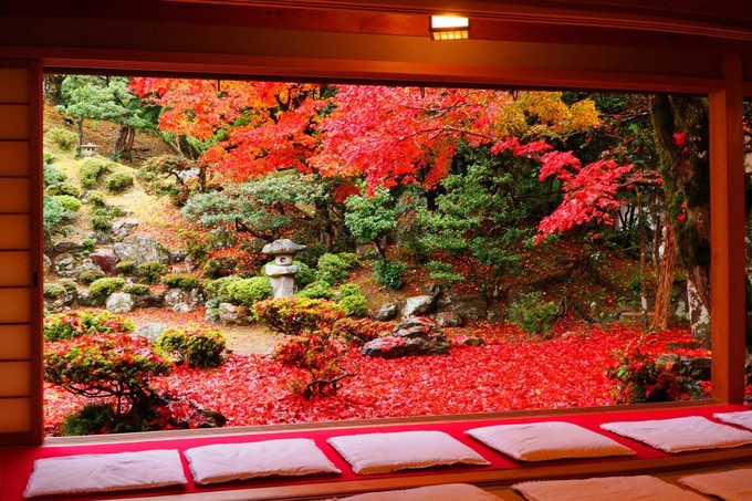Đền Seryu-ji Tokugen-in, Shiga  Seryu-ji Tokugen-in vốn là một nơi được gìn giữ, bảo tồn tốt nhất ở Nhật. Ngôi đền thanh tịnh này nằm ở tỉnh Shiga, cạnh thành phố Osaka. Các ngôi nhà trong khu đền có kiến trúc cổ, luôn có thêm vườn rải đá, trồng đầy cây cối và tới mùa thu sẽ đồng loạt chuyển màu lá đỏ.  Thời gian đẹp nhất là cuối tháng 11.