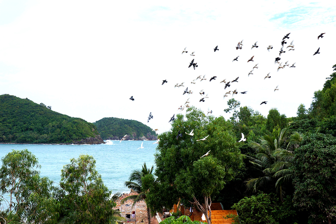 Với 21 hòn đảo lớn nhỏ, quần đảo Nam Du thuộc hai xã An Sơn và Nam Du, huyện Kiên Hải, tỉnh Kiên Giang. Điểm du lịch này cách TP HCM khoảng 250 km. Với bãi biển trong xanh, vẻ đẹp nguyên sơ, quần đảo thu hút đông du khách từ các tỉnh phía Nam, phần đông từ TP HCM. Đây là địa điểm du lịch mới có nhiều trải nghiệm độc đáo để du khách lựa chọn cho kỳ nghỉ của mình.