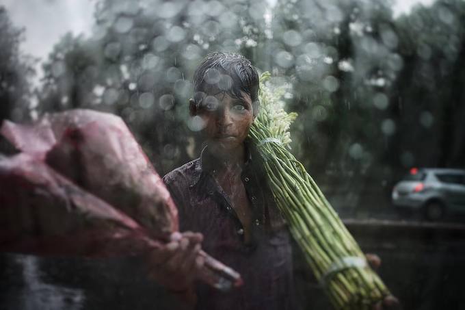 Một cậu bé bán hoa tại ngã tư đông đúc khi trời mưa. Ở Ấn Độ, hoa là biểu tượng của sự thịnh vượng và có mối liên kết với các vị thần nên người dân mua rất nhiều hoa cho mọi nghi thức, vào các dịp lễ hội và những buổi tiệc.