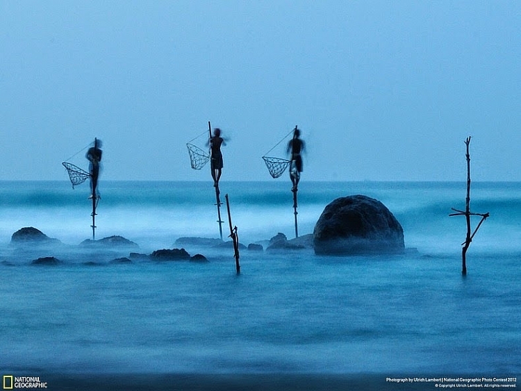 Từ vị trí trên cao này, các ngư dân sẽ sử dụng chiếc cần câu để đánh bắt cá. Mặc dù cách câu cá này có vẻ rất nguyên thủy và cổ xưa, tuy nhiên đối với những người dân làm nghề đánh bắt cá tại Sri Lanka thì phương pháp câu này vẫn còn rất hiệu quả cho đến nay.