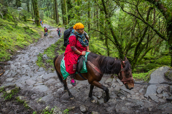 Một người hành hương Hindu ngồi trên lưng ngựa đi qua Vườn quốc gia Langtang một ngày trước ngày rằm tháng 8. Ảnh: Nabin Baral Một người hành hương Hindu ngồi trên lưng ngựa đi qua Vườn quốc gia Langtang một ngày trước ngày rằm tháng 8. Ảnh: Nabin Baral