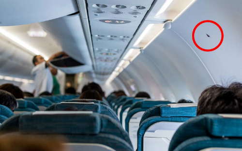Vị trí hình tam giác nhỏ màu đen trong khoang máy bay. Ảnh: TravelandLeisure.