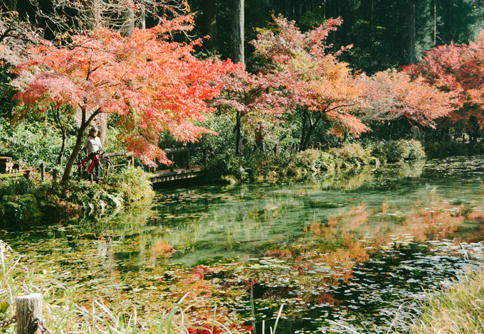 Danh thắng này thực chất là một ao nước do đôi vợ chồng người Nhật chăm sóc, trồng cây và thả cá. Nơi đây tình cờ được phát hiện sau khi một bức ảnh chụp tại ao Monet được lan truyền trên mạng xã hội vào năm 2015. Chỉ ngay trong mùa thu năm 2016, ao Monet đã đón lượng khách "khủng" đến với nơi này. Trong tuần lễ Vàng du lịch Nhật Bản năm đó, mỗi ngày có có 30.000 khách tới đây tham quan.