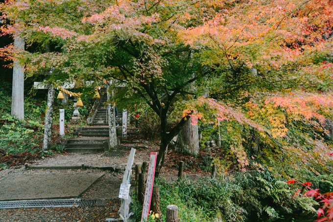 Ngay bên cạnh hồ cá Koi là đền thờ Nemichi nằm ẩn mình bên trong ngọn núi, giữa khu rừng rậm rạp và thanh tịnh. Tới đây, bạn sẽ tránh xa được bụi bặm phố thị, hòa mình vào thiên nhiên tươi xanh và rất đỗi yên bình. Để đến được ao Monet, du khách có thể đi tàu điện ngầm tuyến Nagaragawa đến ga gần nhất là Mino-shi sau đi bắt taxi đi thêm một đoạn.