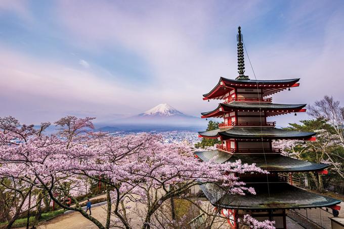 Đây là bức ảnh đoạt giải của Takashi Nakazawa trên tạp chí National Geographic. Tấm hình được chụp trong mùa hoa anh đào ở Nhật, nhìn từ một ngôi chùa năm tầng ở công viên Arakurayama Sengen, phía xa là núi Phú Sĩ.
