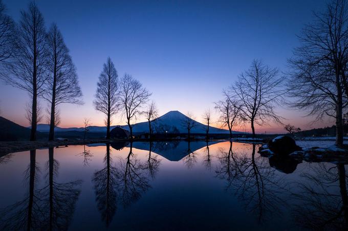 Bầu trời lúc bình minh in hình xuống một hồ nước nhỏ nằm dưới chân núi Phú Sĩ.