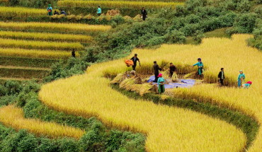 lich trinh ăn choi tet ga 2 ngay 1 dem sapa charm - ivivu - 18