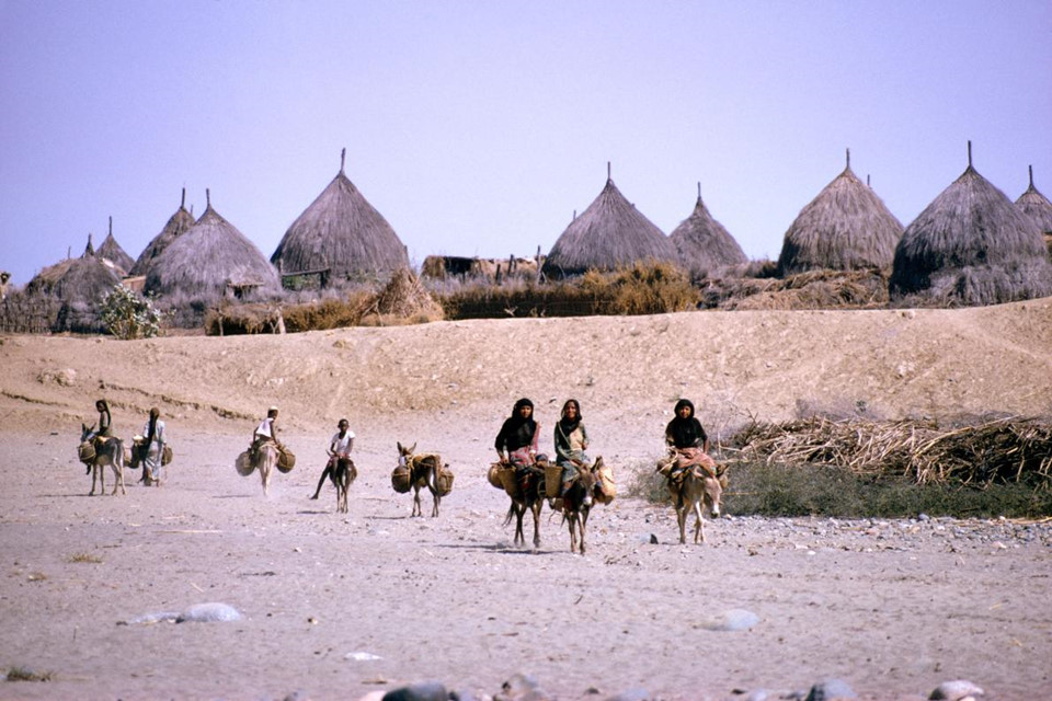 Năm 1966: Thời điểm này, người dân Arabia chủ yếu sống trong các ngôi nhà mái vòm lợp lá, phương tiện di chuyển của họ là lừa, lạc đà. Trong hình là những người phụ nữ ở Ad Darb đang cưỡi lừa đi lấy nước. Ảnh: Thomas J. Abercrombie.