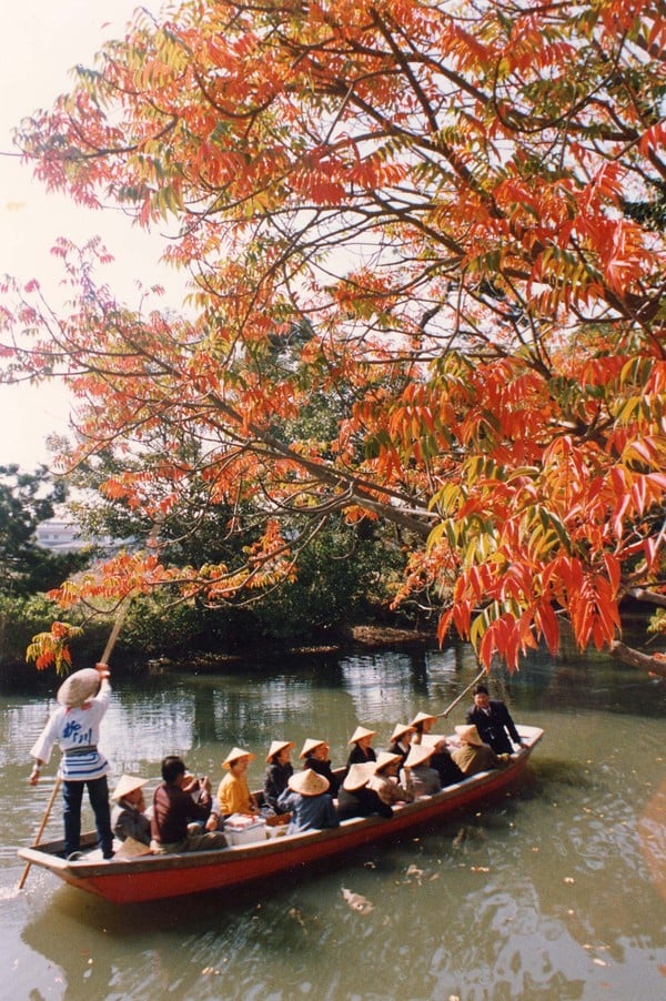 Thành phố Yanagawa Yanagawa (Fukuoka) được ví như Venice của Nhật Bản bởi có tới gần 500 kênh đào kết nối các dòng sông, du khách tới không thể bỏ qua hoạt động ngồi thuyền ngắm cảnh đôi bờ. Dọc các bờ kênh đào là những hàng liễu xanh rủ bóng mát ngày hè, hoa anh đào rực nở vào xuân hay không thể thiếu mùa lá đỏ vào thu. Ảnh: JTB.