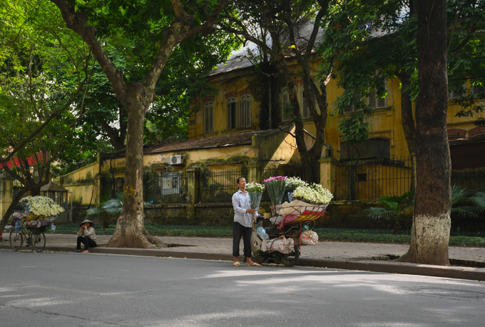 Nếu thuận tiện đi qua đường Phan Đình Phùng, du khách sẽ gặp nhiều xe hoa tập trung ở ngã tư giao với đường Hoàng Diệu và đường Lý Nam Đế.  Du khách nên đến đây từ 8h30 đến 18h để mua những bó cúc họa mi dọc phố.