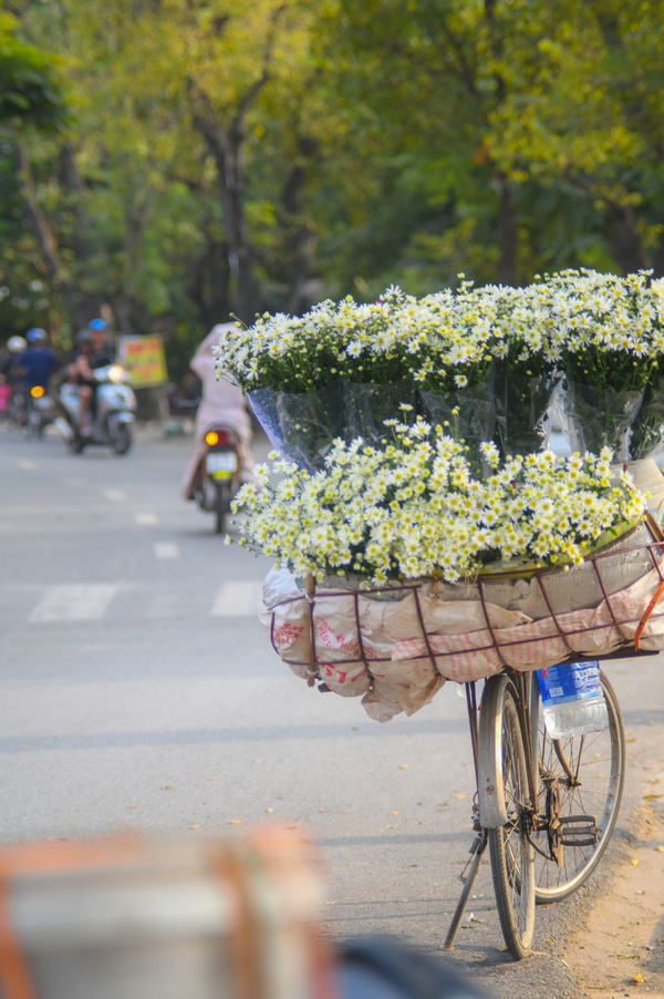 Các xe hoa đứng ở đầu Yên Phụ giao với Nghi Tàm từ 6h sáng. Đây là nơi dễ dàng mua hoa theo mùa nhất trong các con phố ở Hà Nội.