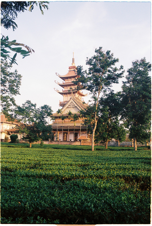 Đi qua đồi chè, bạn có có cơ hội ghé thăm ngôi chùa linh thiêng Bửu Minh. Chùa được xây dựng lại từ một cái am nhỏ và là nơi sinh hoạt tôn giáo quan trọng của người dân tại đây.