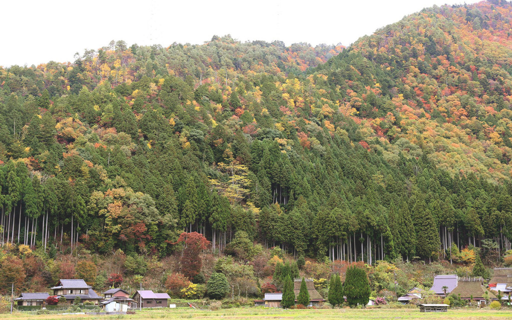 Có nhiều ngôi nhà trong làng được xây dựng từ giai đoạn giữa đến cuối của thời kỳ Edo (1603-1868). Năm 1993, cùng với cánh đồng lúa và rừng xung quanh, làng trở thành khu vực bảo tồn của Nhật.