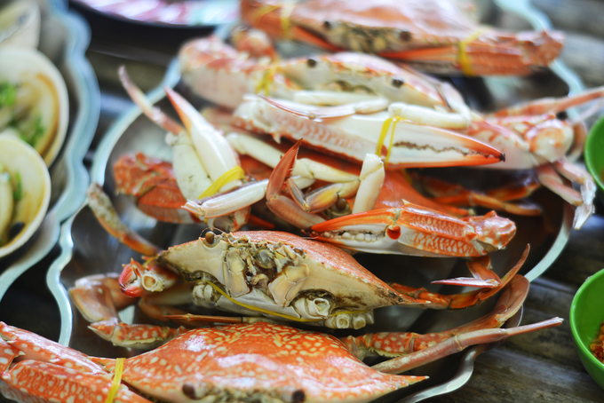 Sò, ốc, ghẹ... là hải sản phổ biến ở đây, thường chế biến bằng cách luộc hoặc nướng, giữ vị tươi ngon, mặn mòi của biển. Để nhâm nhi, bạn cũng có thể gọi một nồi lẩu cá nóng hổi để thưởng thức giữa không khí mát rượi. Sò, ốc, ghẹ... là hải sản phổ biến ở đây, thường chế biến bằng cách luộc hoặc nướng, giữ vị tươi ngon, mặn mòi của biển. Để nhâm nhi, bạn cũng có thể gọi một nồi lẩu cá nóng hổi để thưởng thức giữa không khí mát rượi.
