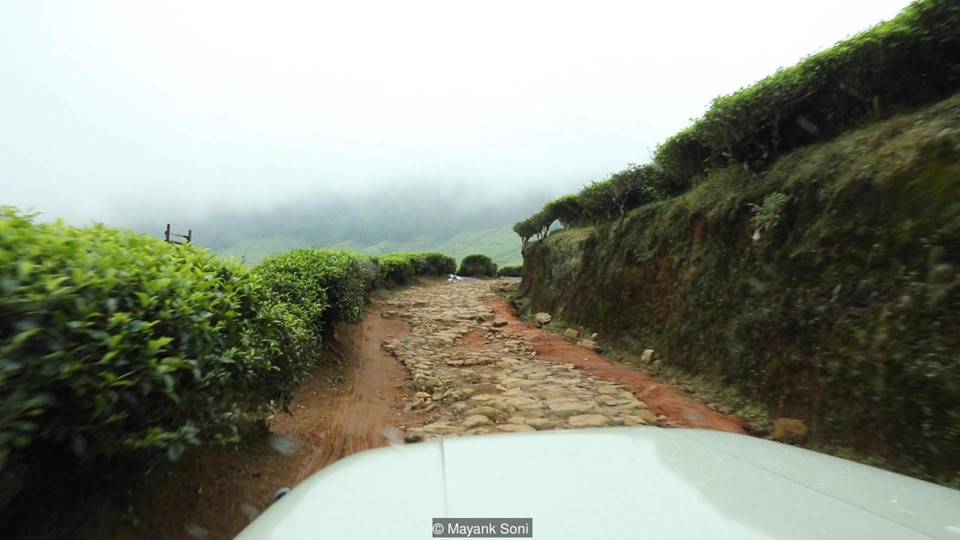 Hành trình đến Kolukkumalai khá gian nan, vất vả. Nhưng quang cảnh du khách có thể chứng kiến rất bõ công. Hoa Neelakurinji phủ kín đỉnh Kolukkumalai, trải rộng lẫn vào màn sương khói. Ảnh: Mayank Soni.