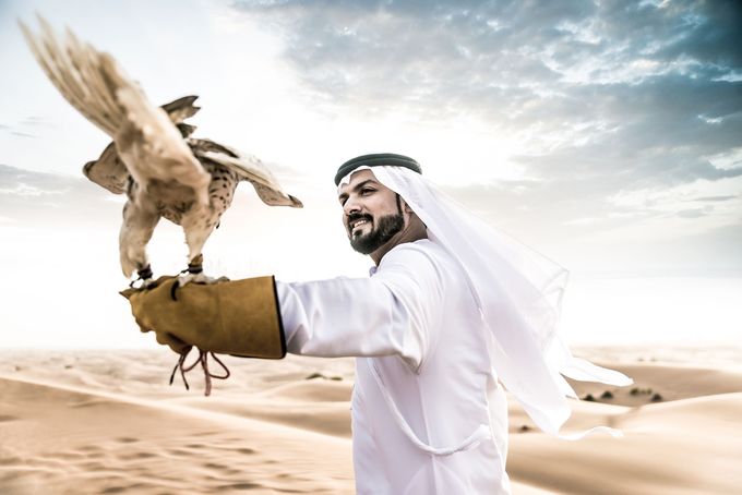 Cho phép chim ưng lên máy bay Qatar Airways cho phép tất cả hành khách mang theo chim ưng của họ lên máy bay miễn là nó có hộ chiếu hợp lệ (UAE cấp hộ chiếu cho loài chim này). Người Qatar coi loài vật này là biểu tượng của lòng dũng cảm, tự do, kiên trì và thể hiện địa vị của người sở hữu. Ảnh: Inclusive Tourism.