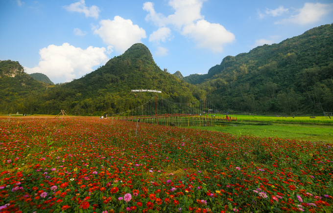 Thung lũng hoa Bắc Sơn nằm tại xã Trấn Yên, huyện Bắc Sơn, Lạng Sơn. Khu vực này mở cửa đón du khách tham quan từ 15/10/2017 với gần 10 loại hoa được trồng tại đây.