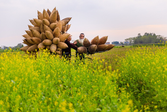 Cụ Lương Sơn Bạc (trái) cùng ông bạn bên xe thồ những chùm đan đó đi ngang qua cánh đồng hoa cải vàng - Ảnh: NGUYỄN TẤN TUẤN