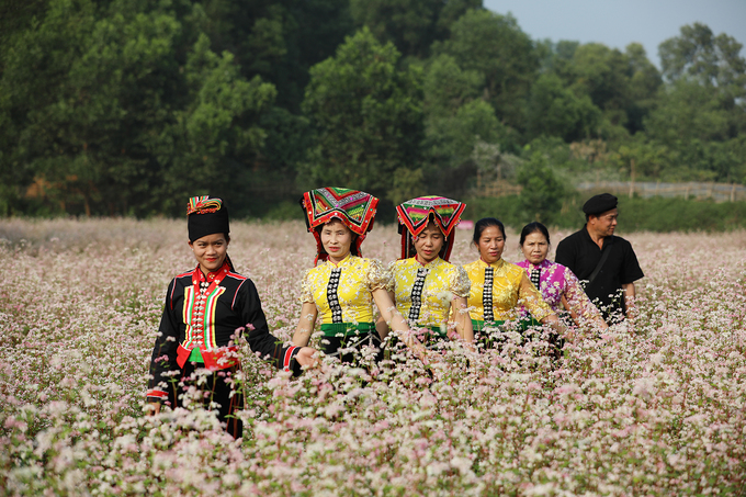 Xung quanh cánh đồng hoa kiều mạch có rất nhiều người dân tộc sinh sống.  Đến với miệt vườn, bạn sẽ được trải nghiệm nhiều nét văn hóa của từng dân tộc nơi đây.