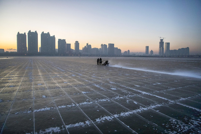 Các khối băng để tạo nên tác phẩm trong lễ hội được lấy từ con sông Tùng Hoa gần địa điểm tổ chức. Trong ảnh, công nhân Trung Quốc đang cắt băng trên mặt sông ngày 20/12/2018. Ảnh: Kevin Frayer.