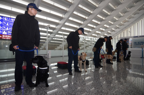 Các sĩ quan cùng chó nghiệp vụ làm nhiệm vụ tại sân bay quốc tế Đào Viên. Ảnh: Central News Agency.