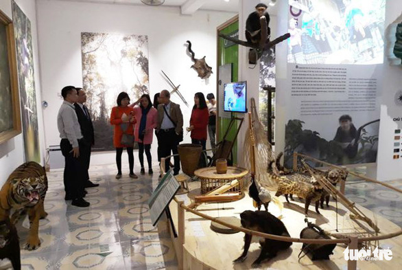 Du khách tham quan bảo tàng thiên nhiên - văn hóa mở ở Vườn Quốc gia Pù Mát, Nghệ An - Ảnh: N.PHÊ