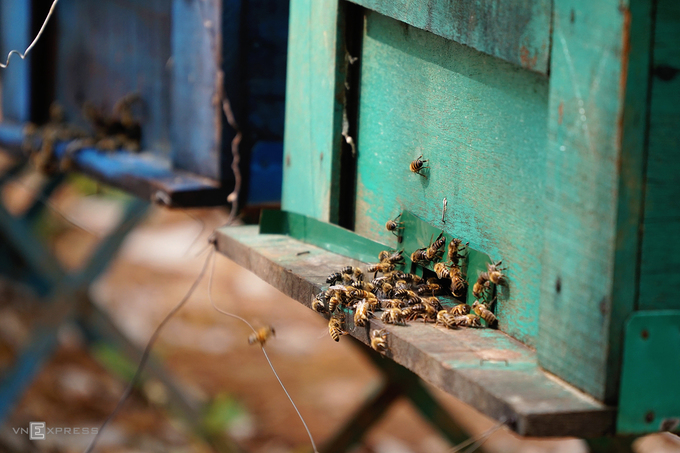 Mỗi thùng đều thiết kế một khe ở dưới để làm lối đi cho bầy ong.