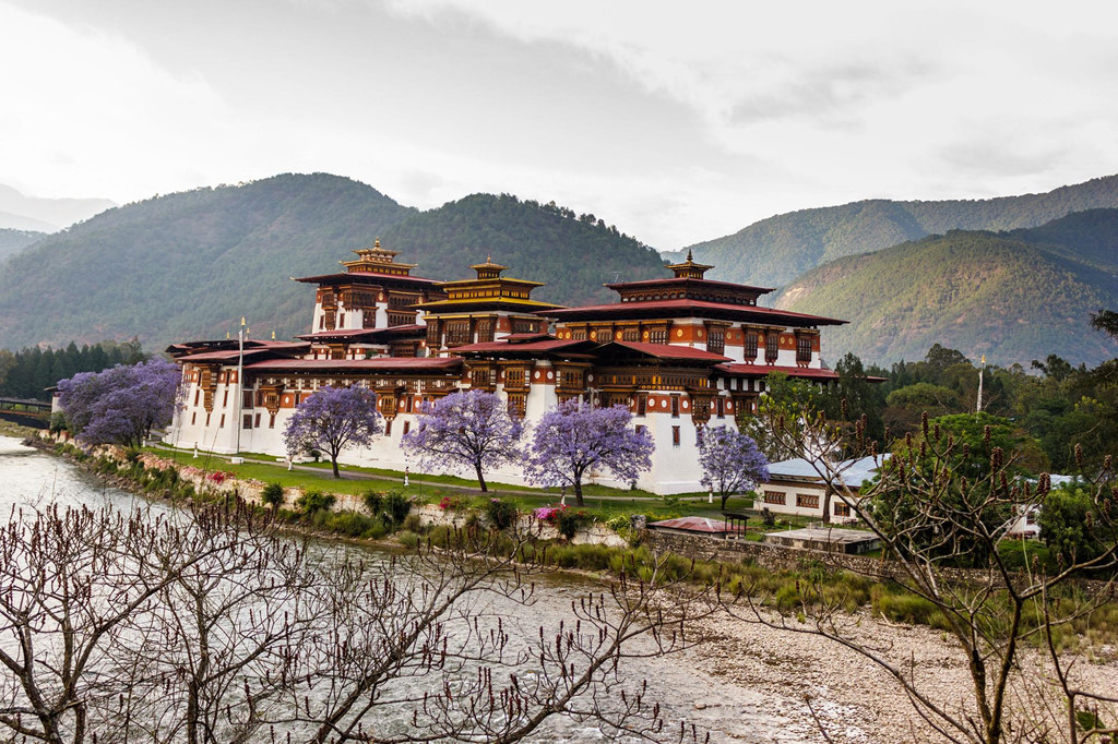 Nhìn từ xa, bạn sẽ thấy màu tím của sắc hoa phượng trở nên nổi bật giữa bức tranh thiên nhiên hùng vĩ. Cảnh sắc mê hoặc này thật đáng để bạn chuẩn bị kế hoạch đến Bhutan, kịp check-in mùa phượng tím một lần trong đời. Ảnh: Akashvir.