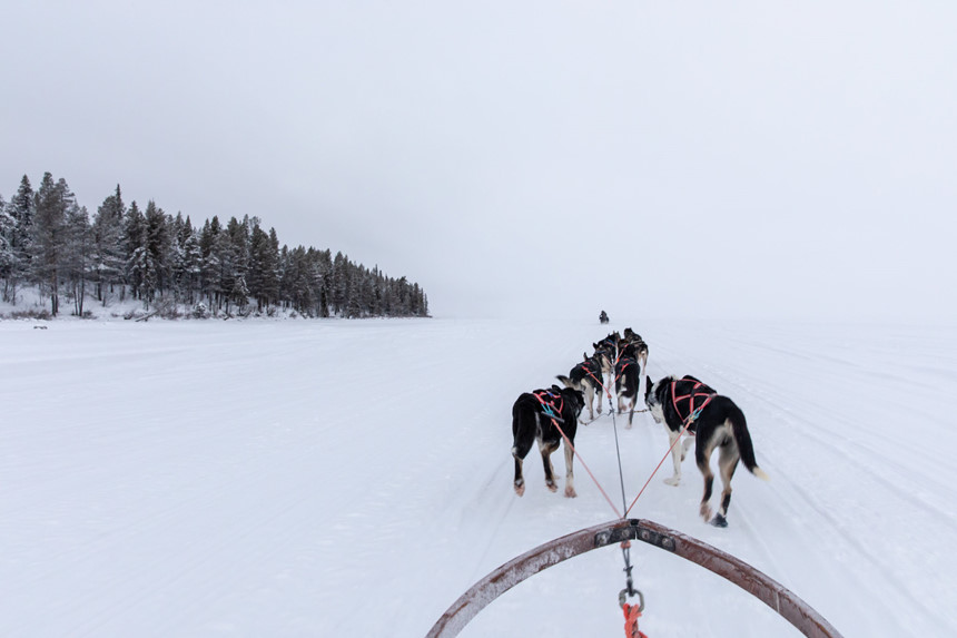 Một nhóm chó kéo xe trên một con sông đóng băng gần Kiruna, Thụy Điển.