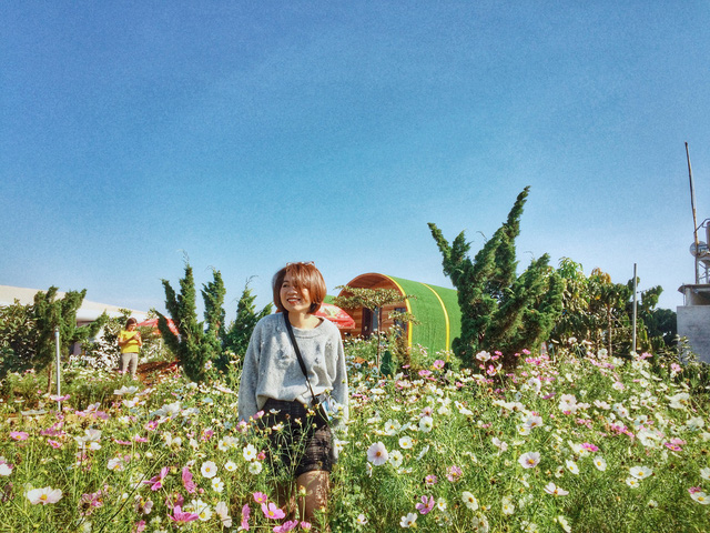 Tadung Topview Homestay has fields with a variety of flowers.  (Photo: Aquarius)