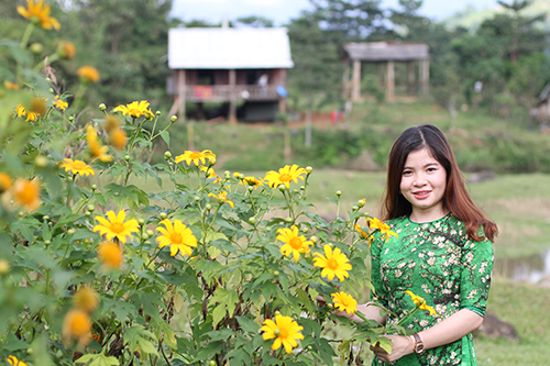 Hoa dã quỳ mọc dại ở miền tây Quảng Trị thường hút khách du lịch mỗi mùa nở rộ. Ảnh: Quang Hà.
