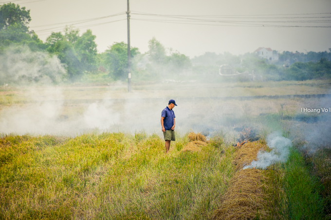 Một người nông dân đang đốt rơm rạ sau thu hoạch để chuẩn bị cho vụ lúa hè thu sắp tới.
