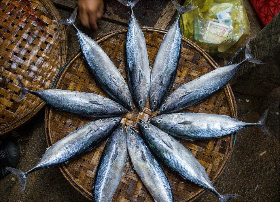 Cá tươi trong một khu chợ địa phương ở Quy Nhơn. Ảnh: Marissa Carruthers.